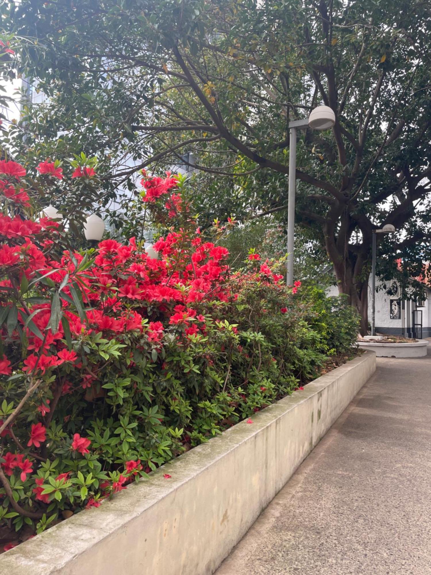 Hotel Vicente Lopez Bagian luar foto