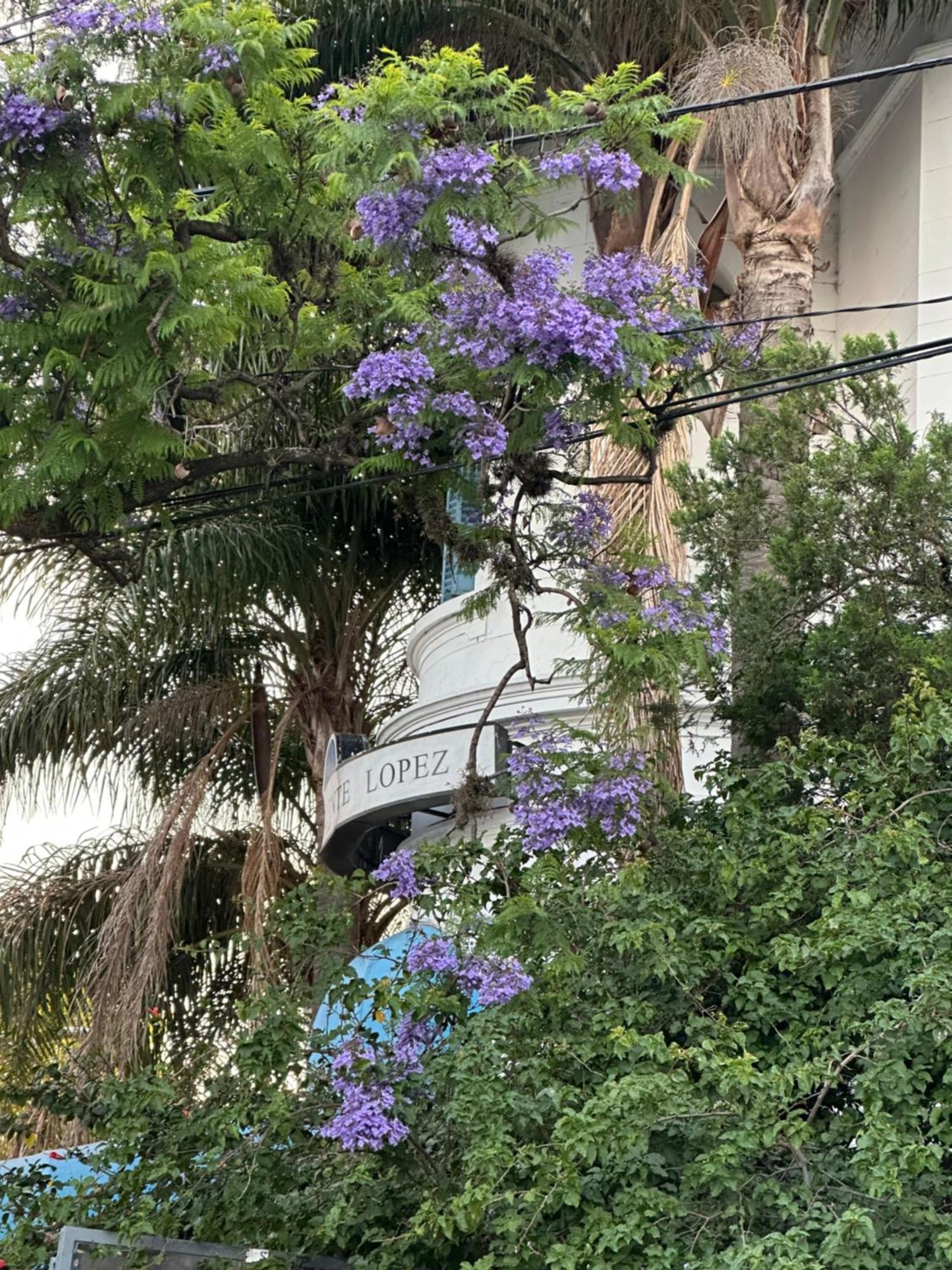 Hotel Vicente Lopez Bagian luar foto
